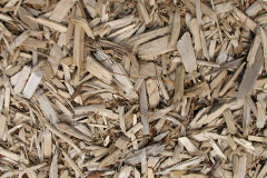 biomass boilers Barshare